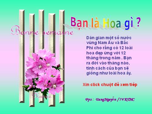 Tháng nào - Hoa đó