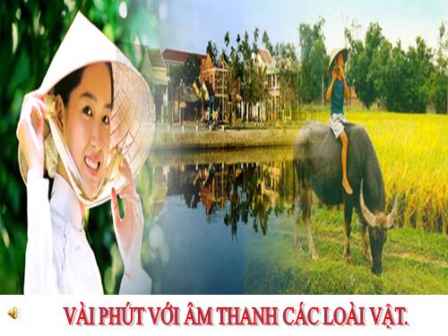 Âm thanh các loài vật