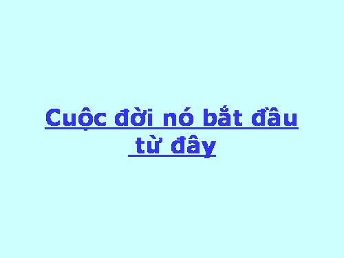 Cuộc đời.....từ đây