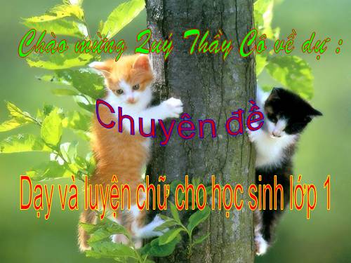 chuyen de lop 1