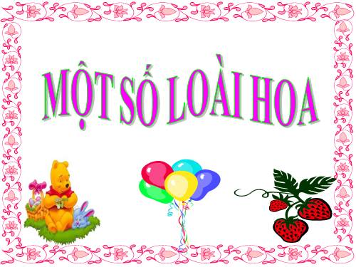 MỘT SỐ LOẠI HOA ĐẸP