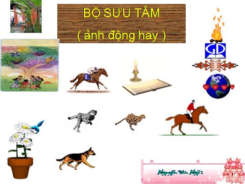 Giúp soạn giáo án điện tử