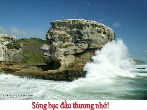 một số hình nền