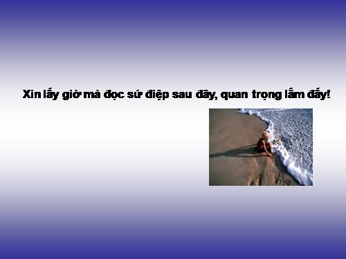 Cuộc sống đáng yêu