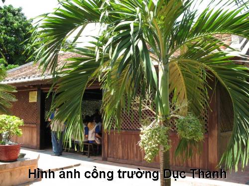 Hình ảnh trường Dục Thanh