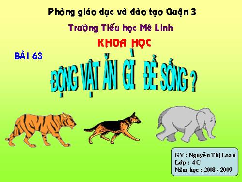 DONG VAT AN GI DE SONG