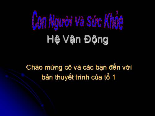 Hệ vận động