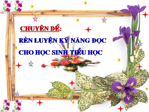 Ren ky nang doc cho hs Tieu hoc