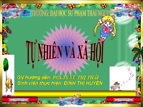 tự nhiên và xã hội 3
