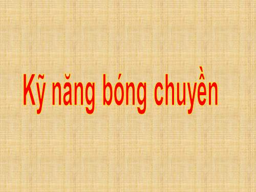 Kỹ năng bóng chuyền