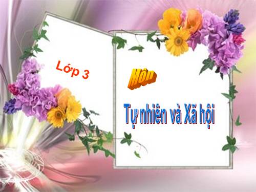 Địa lý - Các đới khí hậu