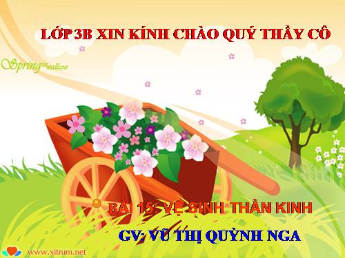 TNXH - Vệ sinh thần kinh