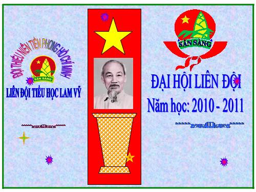 đại hội liên đội năm 2010 - 2011