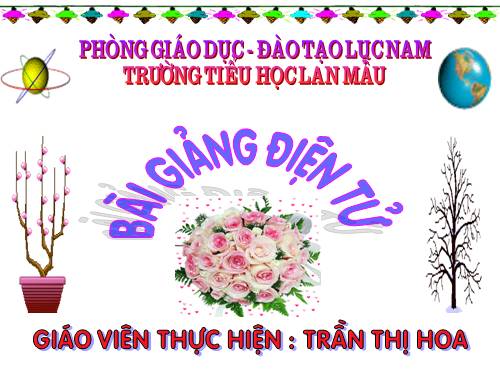 Một số cảnh đẹp Việt Nam