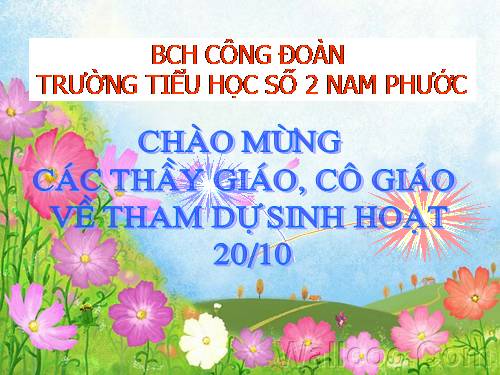 phụ nữ VN