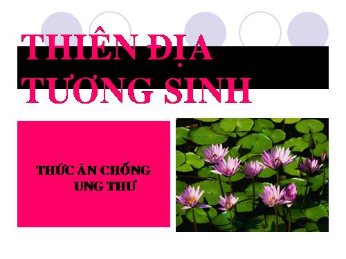 THIEN DIA TUONG INH