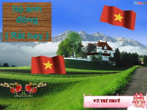 Bộ hình động hay