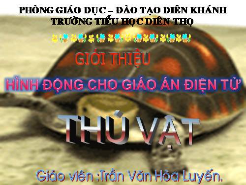 Hình động: Hổ, báo voi, cọp...