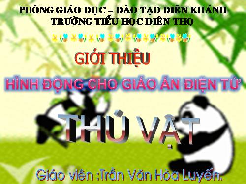 Hình động: Khỉ và gấu