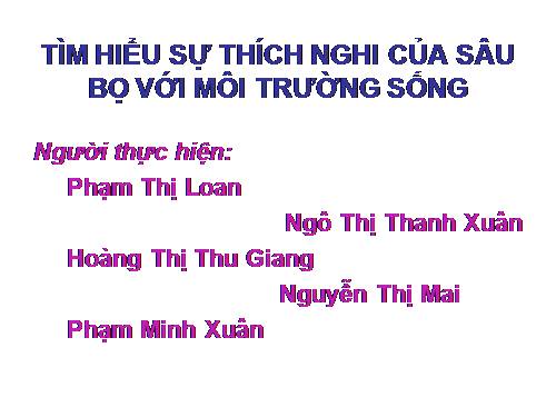 Các phụ lục cho các phương pháp, kỹ thuật dạy học tích cực