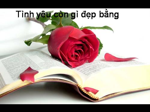 Điều kỳ diệu của tình yêu