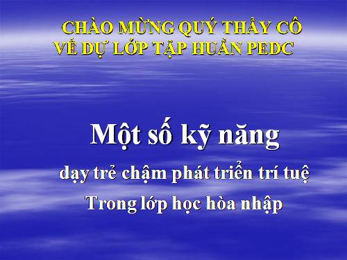Mso kĩ năng dạy trẻ CPTTT lớp hòa nhập