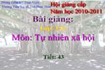 Bài giảng violet "Rễ cây"-TNXH lớp 3