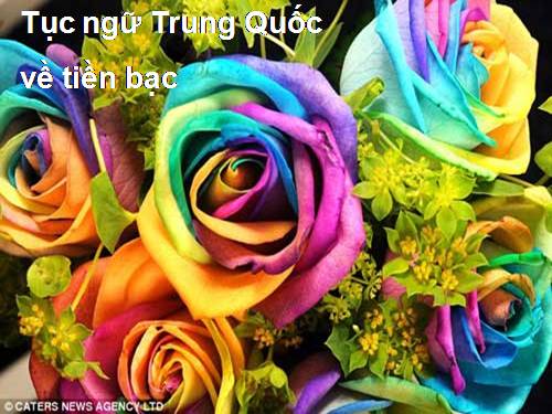 Những điều tốt đẹp