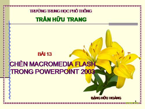 Bài 13: Chèn MacroMedia Flash trong PowerPoinl