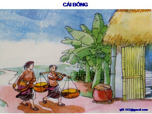 TRANH TĐ: CÁI BỐNG