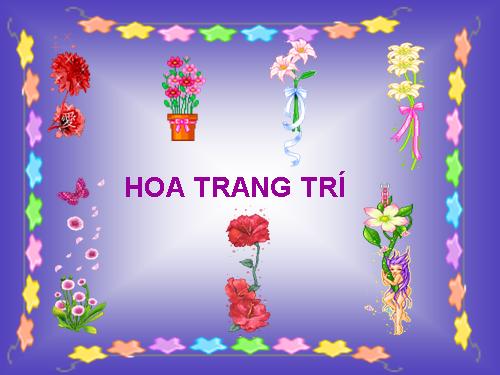 hoa trang trí bài giảng