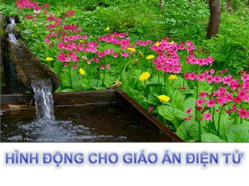 Hì ảnh động ( Rất hấp dẫn)