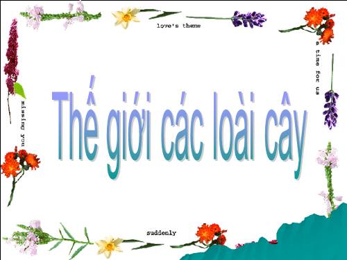 the gioi cac laoi cay