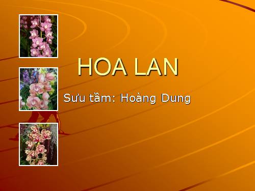 Hoa lan