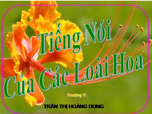 Các loài hoa_Phần 3