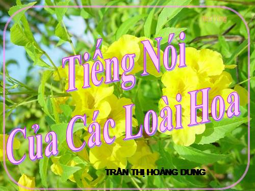 Các loài hoa_phần 2