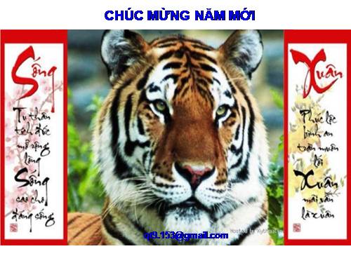 CHÚC MỪNG NĂM MỚI