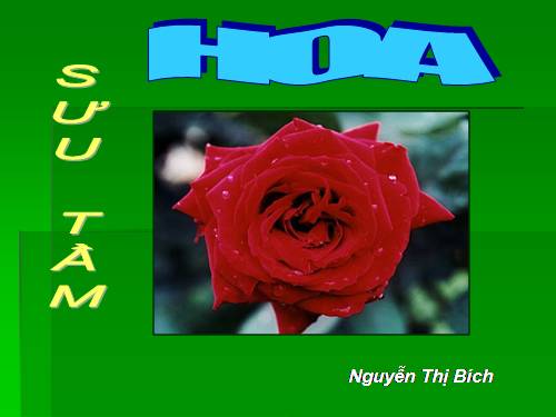 HOA