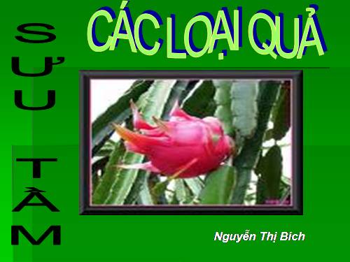 CÁC LOẠI QUẢ