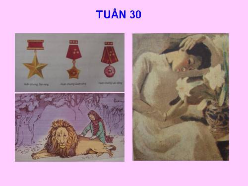 Tranh TV 5 - Tuân 30