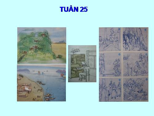 Tranh TV 5-tuan 25