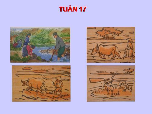 Tranh TV5 Tuần 17