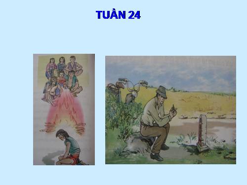 Tranh TV5 Tuần 24