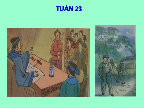 Tranh TV5 Tuần 23