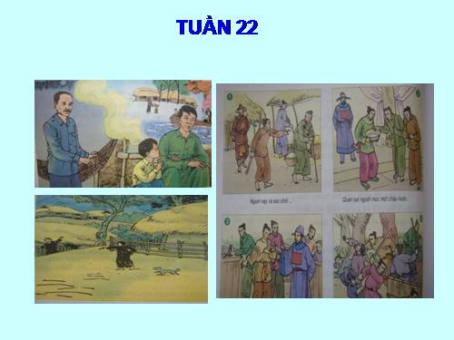 Tranh TV5 - Tuần 22