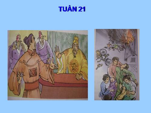 Tranh TV5 - Tuần 21