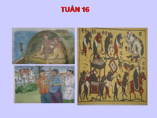 Tranh TV5 -Tuần 16