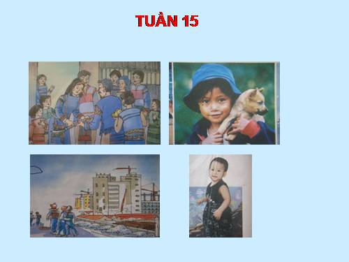 Tranh TV5- Tuần 15