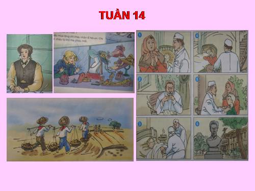 Tranh TV5 -Tuần 14