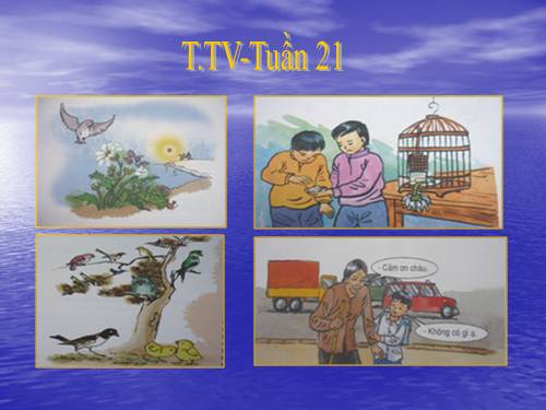 Tranh TV2- Tuần 21